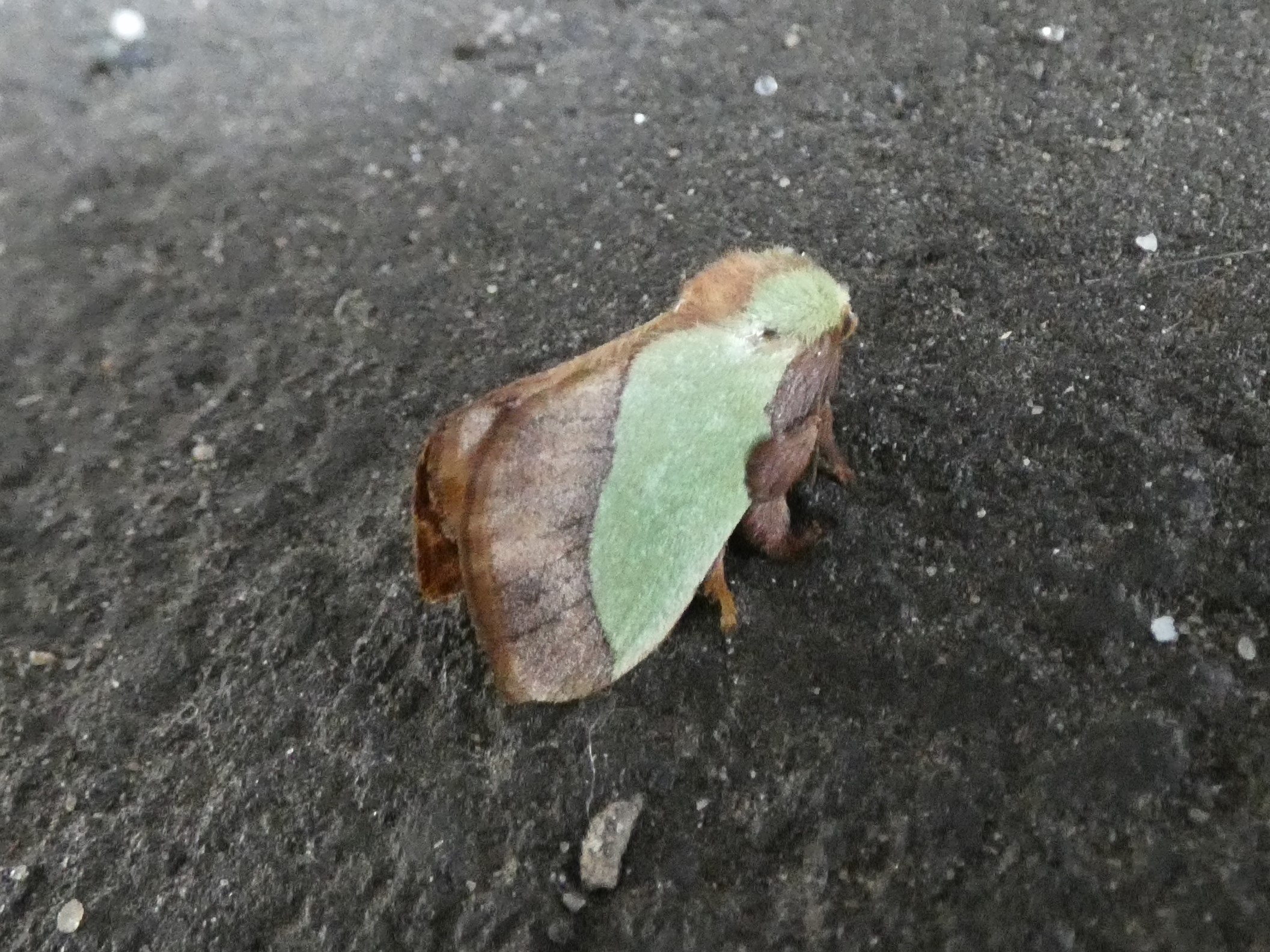 photo_4